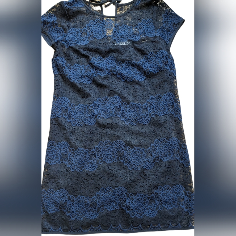 Lace sheath dress Ann Taylor Loft  size 8